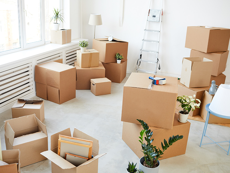 Wohnungswechsel / Umzug Wohnungswechsel / Umzug